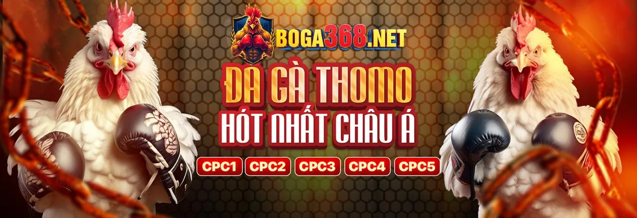 Đá Gà Trực Tuyến s999 nổ hũ